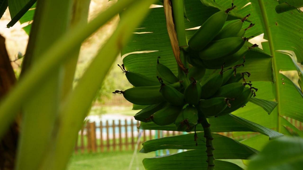 Tropical Studio Orgiva Luaran gambar